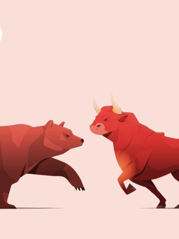 Bull Market or Bear Market? Here’s How You Can Tell the Difference