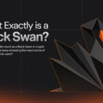 Black Swan Event in Crypto: How to Survive It?
