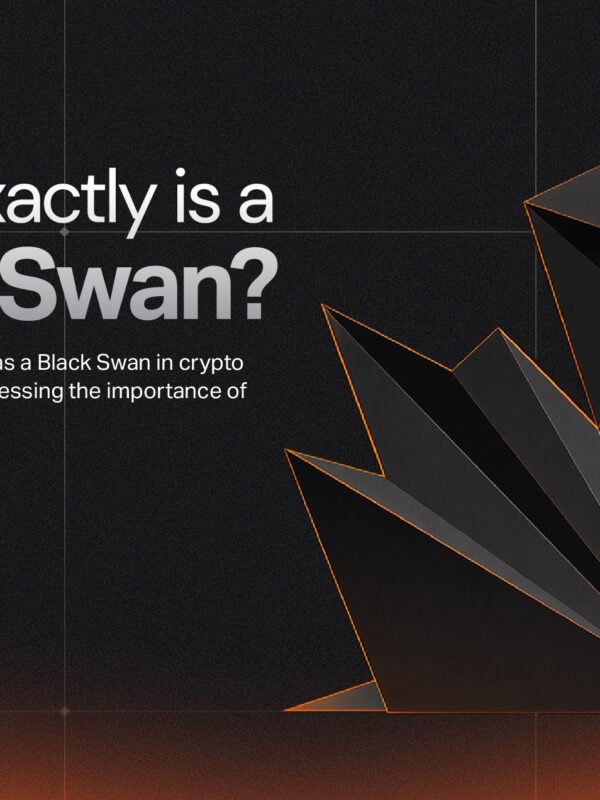 Black Swan Event in Crypto: How to Survive It?
