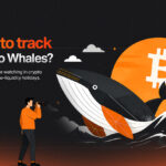 How to track crypto whale movements during holiday markets?